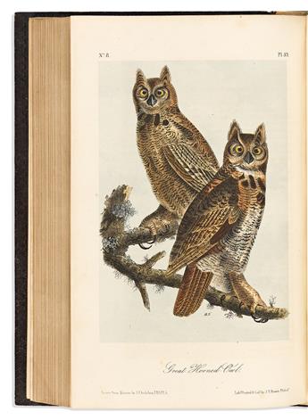 (BIRDS.) John James Audubon. The Birds of America.